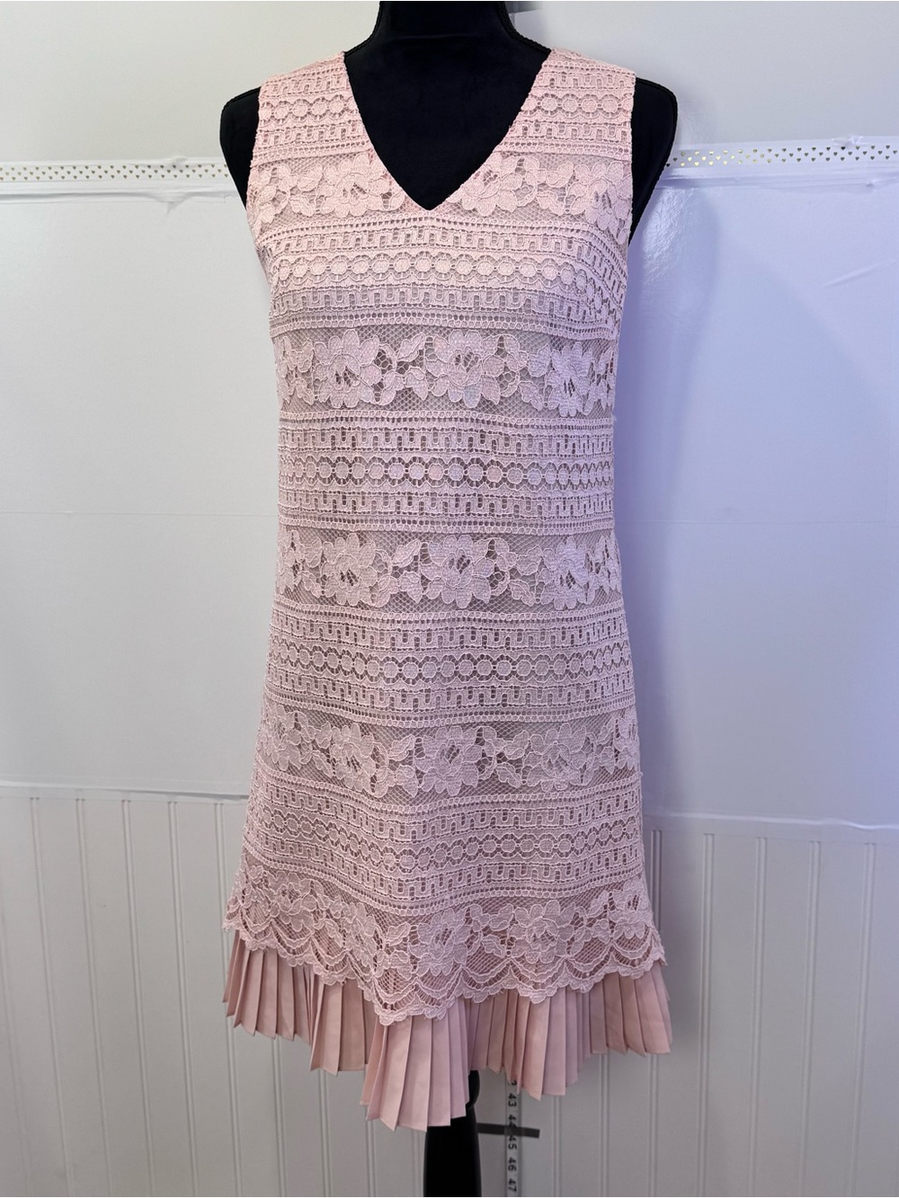CeCe Blush Lace Dress Pleated Hem Romantic Wedding Guest Size 2 Chic